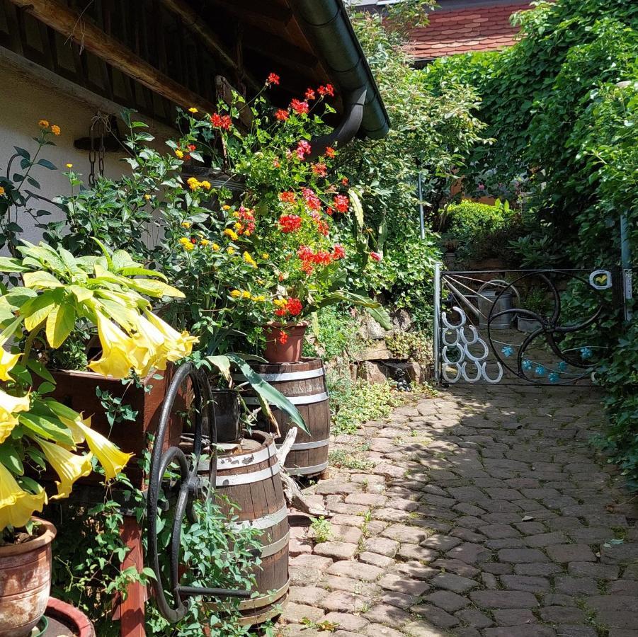 칼스바트 Beim Schlafwandler 아파트 외부 사진